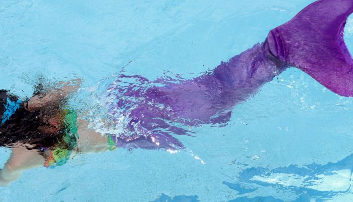 Ticket Zeemeermin.jpg