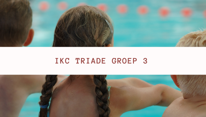 tickets triade groep 3.png